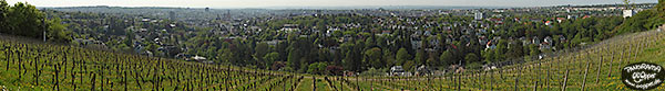 Blick vom Neroberg aus auf Wiesbaden